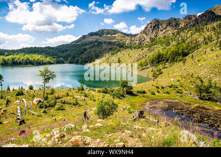 Il lago di Madh nel Parco Nazionale di esca, Albania Foto Stock
