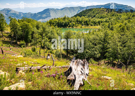 Il lago di Madh nel Parco Nazionale di esca, Albania Foto Stock