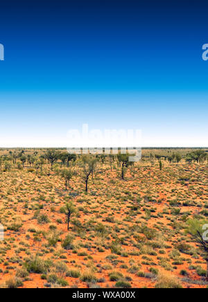 Una fotografia di australia outback con un profondo cielo blu Foto Stock