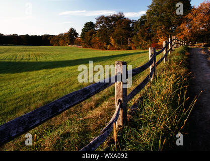 Pascoli recintati ad Hamilton, Massachusetts Foto Stock