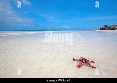 Acque cristalline a Zanzibar Beach in Tanzania Foto Stock