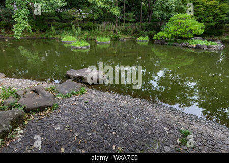 Fuchu-no-Mori parco fu costruita su un ex militari USA air base è stato trasformato in un multi-purpose park per la zona di cittadini. Esso include ripristinato Foto Stock