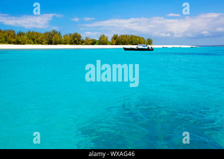 Acque cristalline a Zanzibar Beach in Tanzania Foto Stock