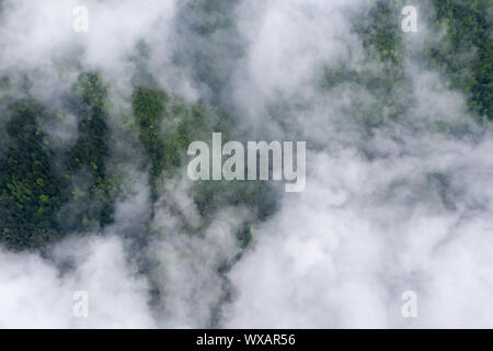 Foreste di montagna e la nebbia di cloud Foto Stock