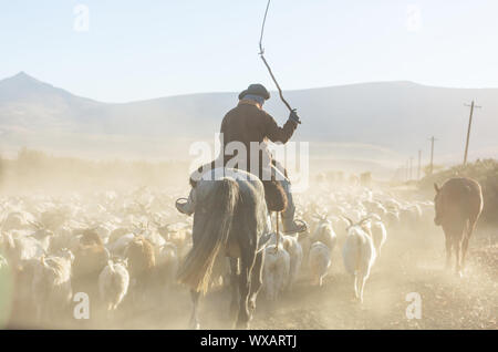 Gaucho Foto Stock