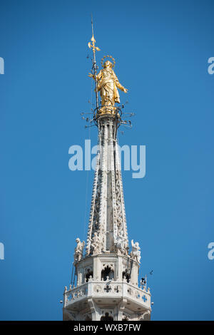 Golden Vergine Maria statua sul tetto del Duomo Foto Stock