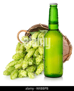 Birra Leggera o Birra Light e luppolo nel cestello isolato su sfondo bianco Foto Stock