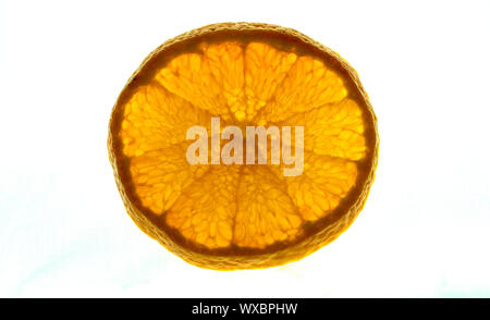 Isolato e retroilluminato frutta mandarino su uno sfondo bianco Foto Stock