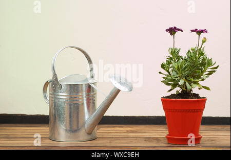 Acciaio inossidabile Annaffiatoio in piedi sul tavolo esterno accanto al rosso Potplant Foto Stock