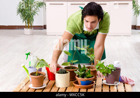 Giovane maschio giardiniere con piante in ambienti interni Foto Stock