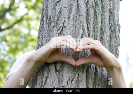 Dita formate in forma di cuore su un tronco di albero Foto Stock