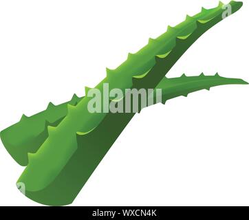 Aloe vera icona di foglie. Cartoon di aloe foglie icona vettoriali per il web design isolato su sfondo bianco Illustrazione Vettoriale
