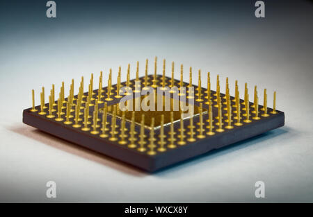Gambe dorate del processore fotografato con aumento Foto Stock