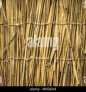 Altamente dettagliato sfondo di bambù. Perfetta consistenza naturale. Foto Stock