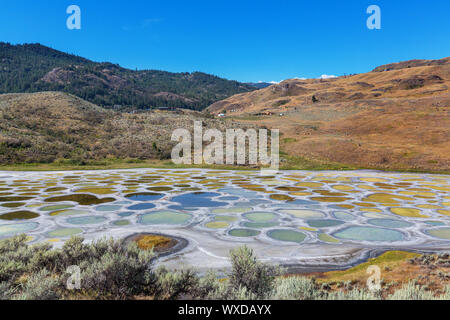 Lago maculato Foto Stock