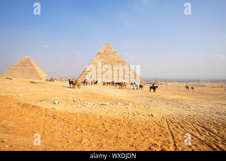 Cavallo nel deserto Il Cairo Egitto Foto Stock