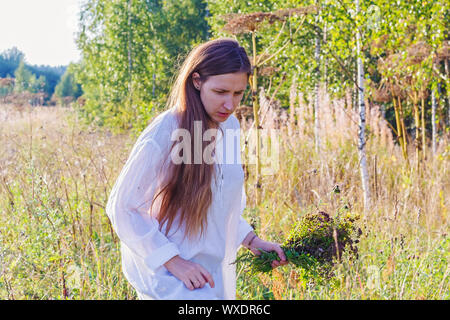 Ragazza raccoglie fiori selvatici ed erbe aromatiche Foto Stock