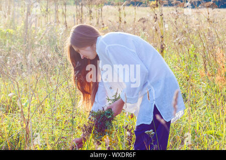 Ragazza raccoglie fiori selvatici ed erbe aromatiche Foto Stock