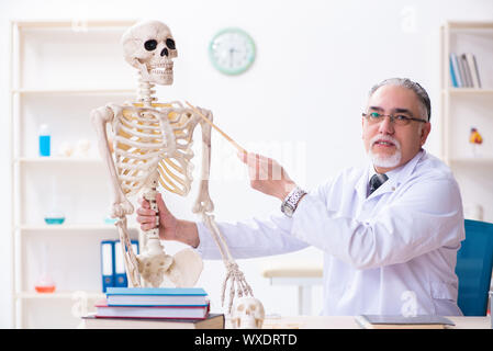 Età medico maschio con scheletro Foto Stock