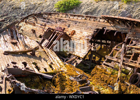 Una grande nave naufragata giace sul suo lato che è sulla riva del mare. Ruggine Pigoli attraverso lo scheletro della nave, piante germogliano attraverso il vecchio albero Foto Stock