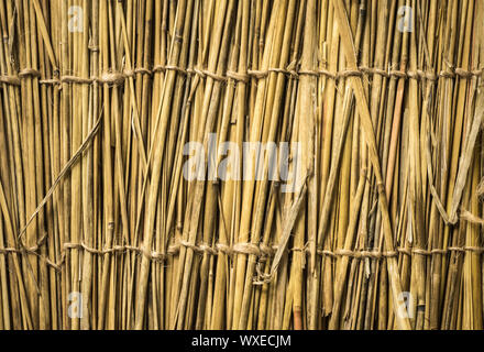 Altamente dettagliato sfondo di bambù. Perfetta consistenza naturale. Foto Stock