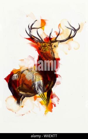 Antiquariato arte stag disegno natura fatti a mano Foto Stock