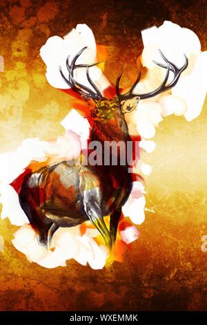 Antiquariato arte stag disegno natura fatti a mano Foto Stock