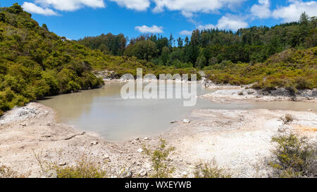 Attività geotermica a Whakarewarewa Rotorua Nuova Zelanda Foto Stock