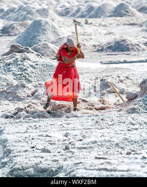 SAMBHAR LAGO città-novembre 19: non identificato una donna indiana che lavora sul sale farm, Novembre 19, 2012, in Sambhar lago città, Sambhar Salt Lake, Raja Foto Stock