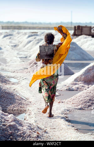 SAMBHAR LAGO città-novembre 19: non identificato una donna indiana che lavora sul sale farm, Novembre 19, 2012, in Sambhar lago città, Sambhar Salt Lake, Raja Foto Stock