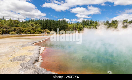 Hot scintillante lago in Nuova Zelanda Foto Stock