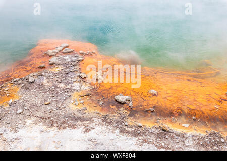 Hot scintillante lago in Nuova Zelanda Foto Stock