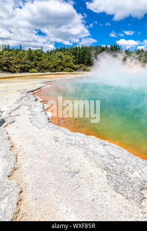 Hot scintillante lago in Nuova Zelanda Foto Stock