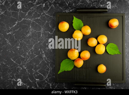 Albicocche mature giacente sul Tray nero su sfondo scuro Foto Stock