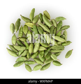 Verde cardamomo cialde isolati su sfondo bianco Foto Stock