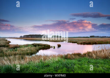 Nuvole rosa su paludi al tramonto, Drenthe, Paesi Bassi Foto Stock