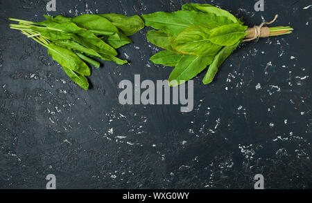 Green sorrel. Fresh sorrel lascia su di una superficie scura. Vista da sopra. Spazio di copia Foto Stock