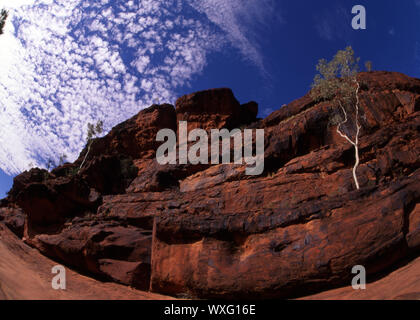 Scogliere, Palm Valley, il Territorio del Nord, l'Australia. PALM Valley si trova nelle oasi del deserto di Finke Gorge National Park Foto Stock