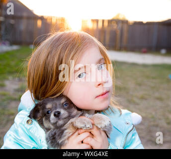 Blonde bambini kid ragazza che gioca con il cucciolo di cane hairy chihuahua Foto Stock