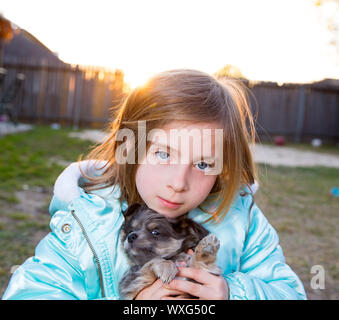 Blonde bambini kid ragazza che gioca con il cucciolo di cane hairy chihuahua Foto Stock