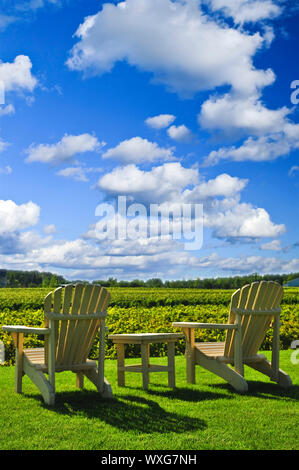 Muskoka tavolo e sedie vicino vigneto sotto il cielo blu Foto Stock