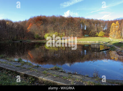 Il lago con l'autunno di riflessione della foresta Foto Stock