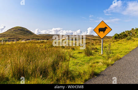 Un segno rende l attenzione per le pecore che attraversa la strada in Irlanda Foto Stock