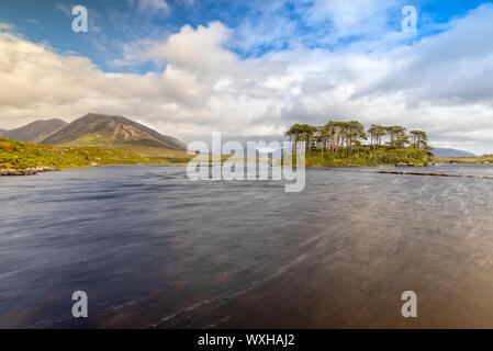 Pine Island in Derryclare Lough nel Parco Nazionale del Connemara, Irlanda Foto Stock