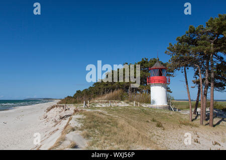 Gellen Faro. . Sle di Hiddensee. Mecklenburg-Vorpommern. Germania. Foto Stock