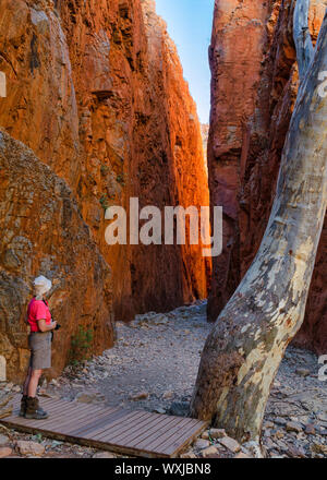 Donna di prendere una fotografia, Standley Chasm, West MacDonnell National Park, il Territorio del Nord, l'Australia Foto Stock