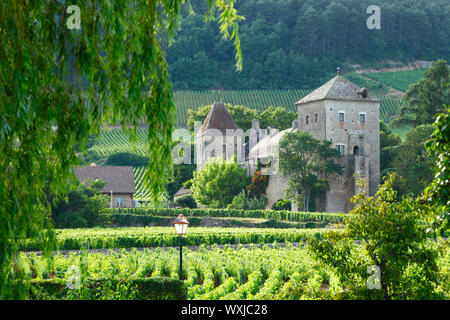 Vista sui vigneti di Gevrey Chambertin, Francia Foto Stock