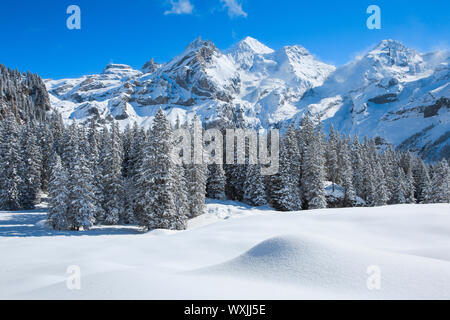 Massiccio montuoso Bluemlisalp con Rothorn, Bluemlisalphorn Oeschinenhorn e. Alpi bernesi, Foto Stock