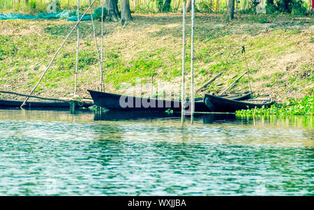 Bird watching imbarcazioni a remi sulla riva della zona umida di Chupir Chor lanca (Damodar e fiume Gange con lussureggiante tropicale di Gangetic plains) in Purba Foto Stock