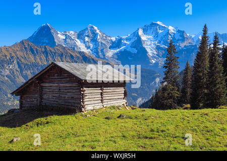 Le montagne Eiger (3967 m), Moench (4107 m) e Jungfrau (4158 m) Foto Stock